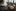 Bilder