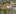 Bilder Baustelle